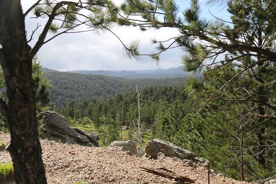 Breezy Point Picnic Area