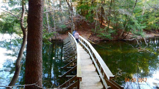 Lake Shaftsbury State Park