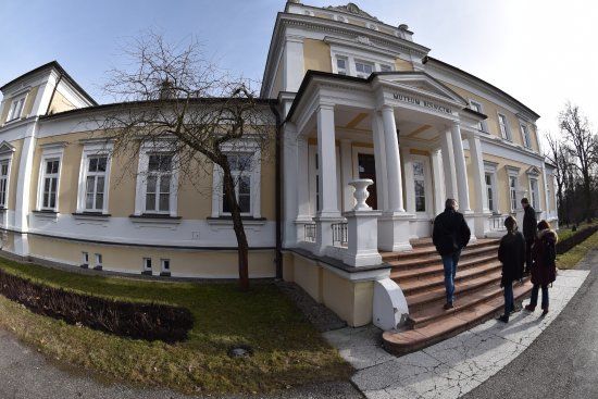 Pałac hr. Starzenskich