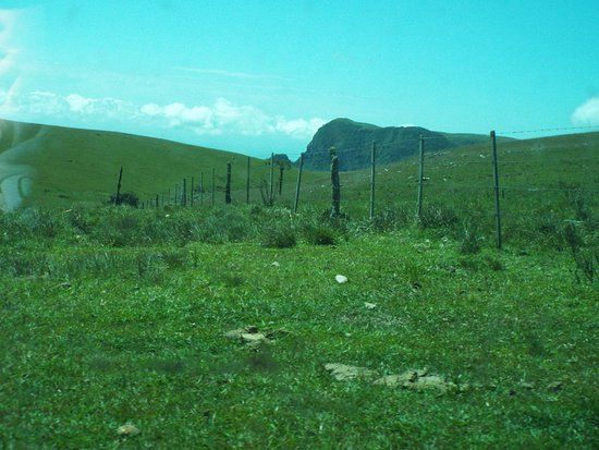 Museu Waldemar dos Santos Boeira
