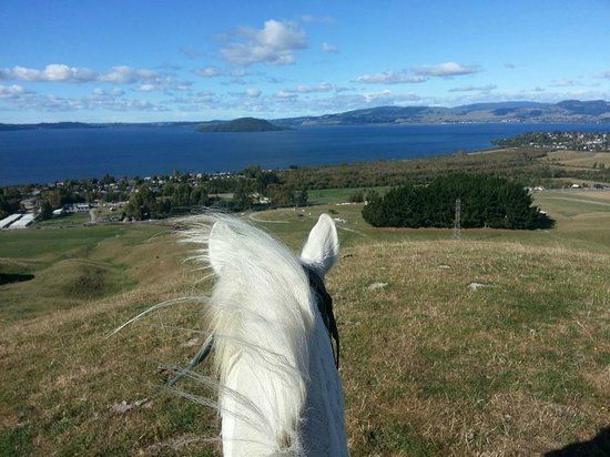 Kiwi Stylz Horse Treks