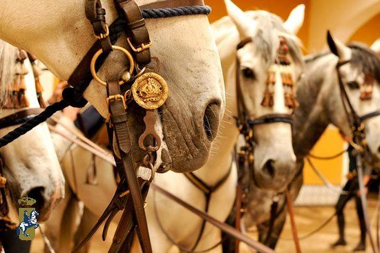 Royal Andalusian School of Equestrian Art