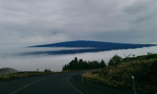 Mauna Loa Observatory