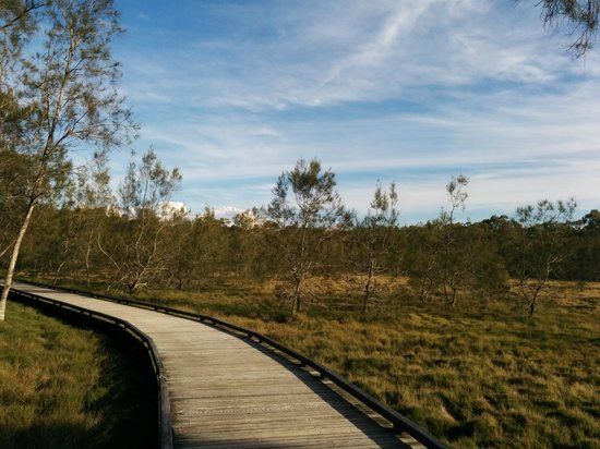 Boondall Wetlands Reserve