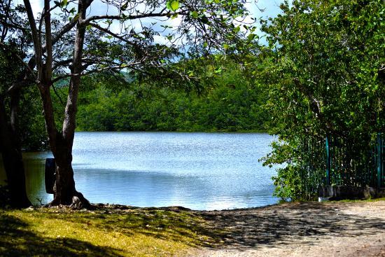 Humacao Nature Preserve