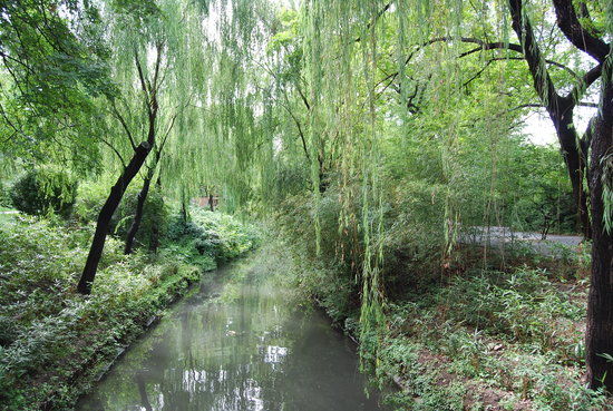Zizhuyuan Park