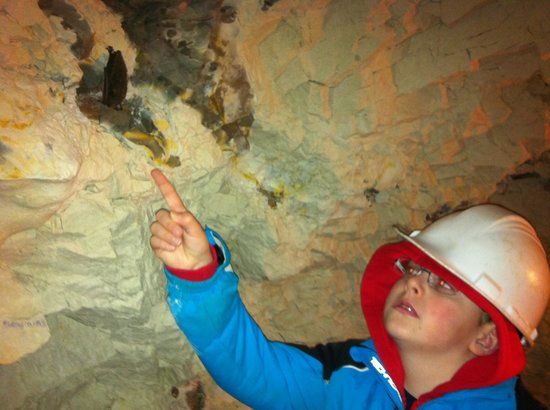 Daugbjerg Kalkgruber