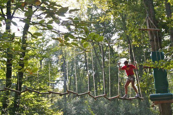 Parc des Grands Chenes