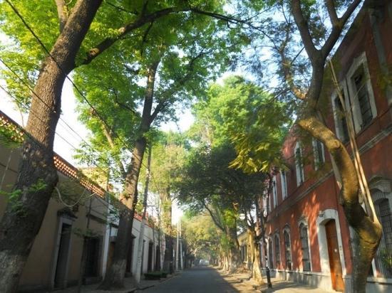 Francisco Sosa Avenue