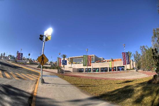 Bebeleche, Museo Interactivo de Durango