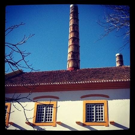 Fabrica de Porcelana da Vista Alegre Museum