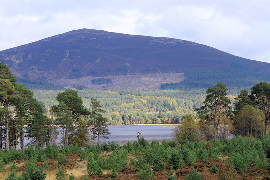 Cairngorms National Park