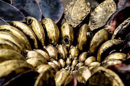 Hugh Miller Museum and Birthplace Cottage