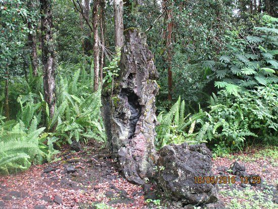 Lava Tree State Park