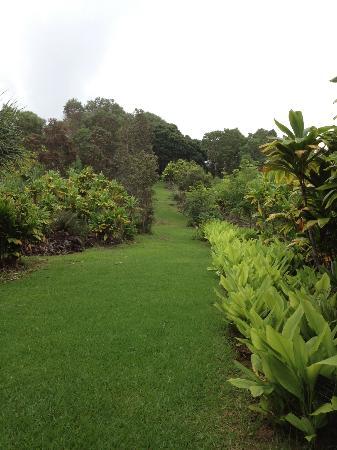 Amy B. H. Greenwell Ethnobotanical Garden