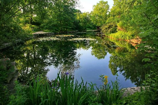 Estanque de lirios de Alfred Caldwell