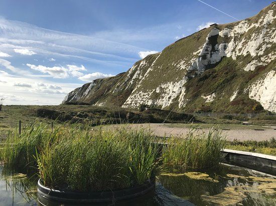 Samphire Hoe