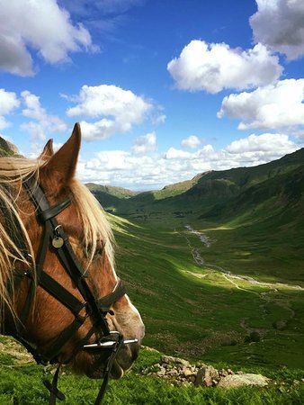 Bigland Hall Equine Group