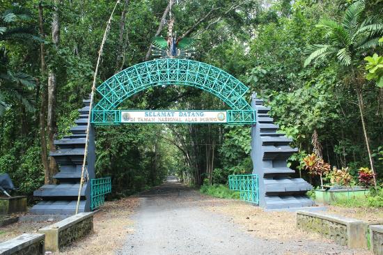 Alas Purwo National Park