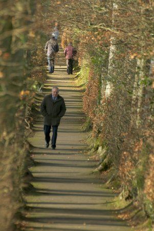 Saint Fanahan's Well