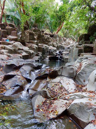 Altavista Petroglyph Complex