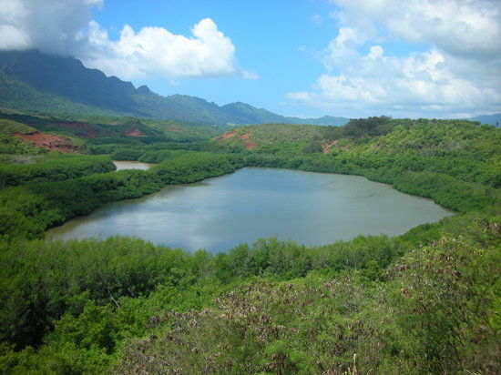 Menehune Fish Pond