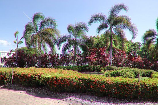 Dan Gleeson Memorial Gardens