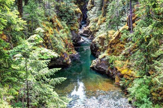 Little Qualicum Falls Provincial Park