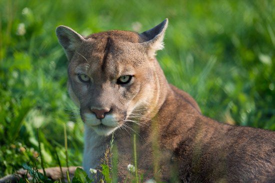 le Jardin animalier Bioparc