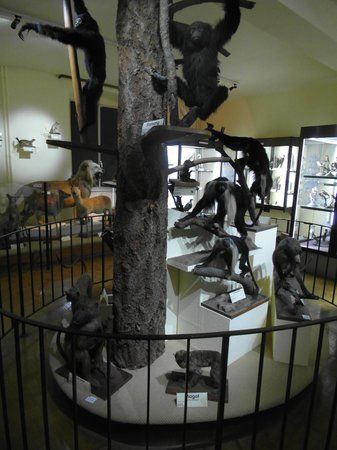 Museum of Natural History and Ethnography