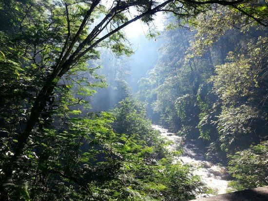 Forest Park Conservation Area Tahura Ir. H. Juanda