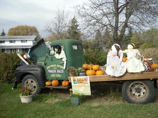 The Scarecrow Forest