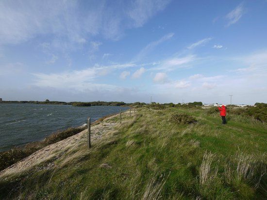 Dungeness National Nature Reserve