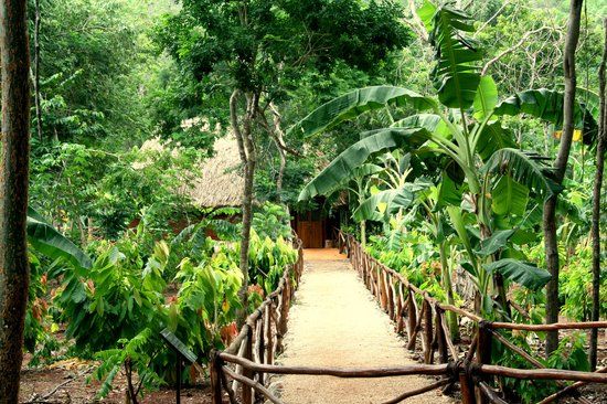 EcoMuseo del Cacao