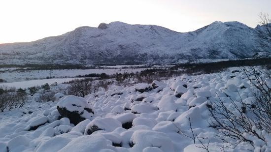 Vega World Heritage Area