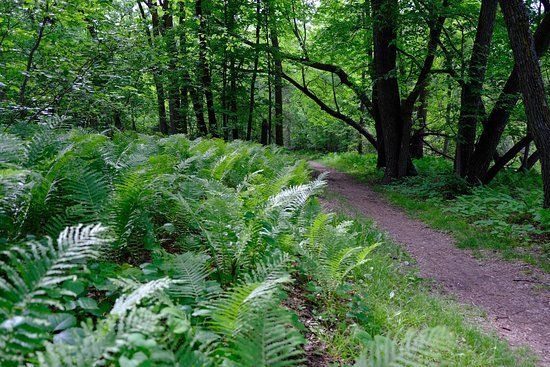 Beaudry Provincial Park