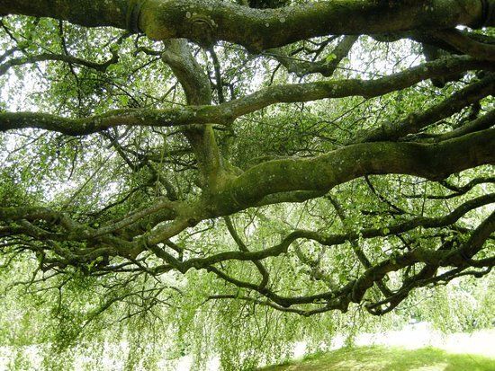 Giardino botanico di Bayeux