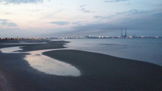 Booterstown Bird Sanctuary