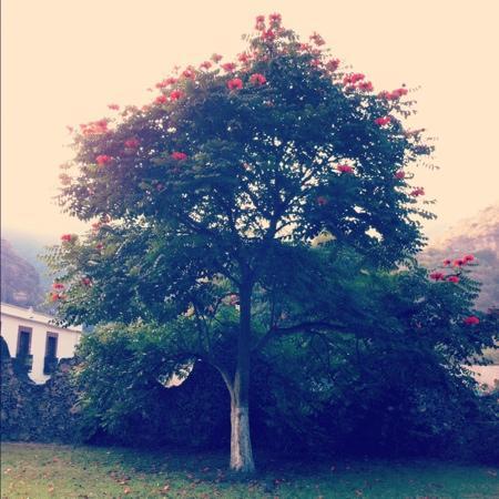 University Museum Dr. Luis Mario Schneider