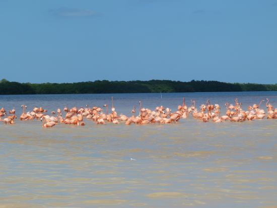Celestun Wildlife Refuge