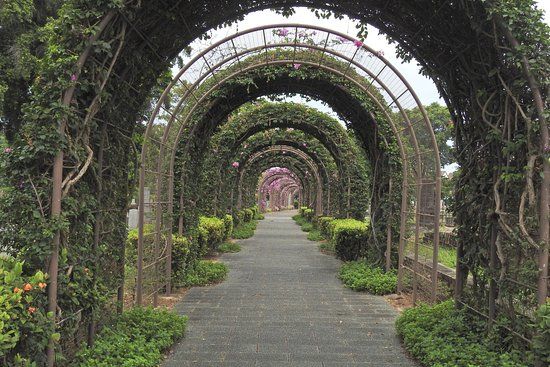 Japanese Cemetery Park