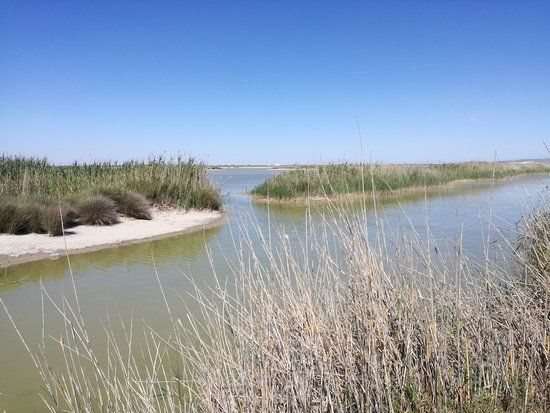 Parque Nacional de Donana