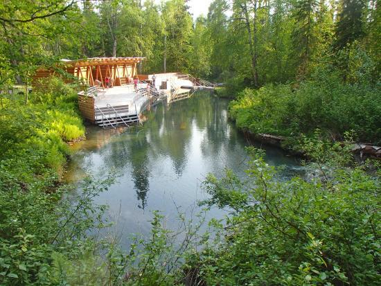 Liard River Hot Springs Provincial Park