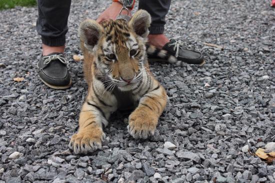 Centre d'observation de la Faune de Falardeau