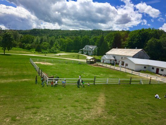 Economuse du Fromage