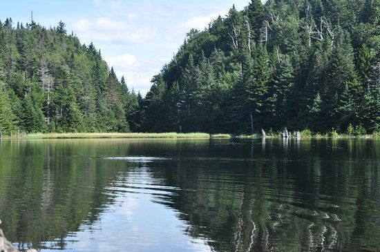 Parc d'environnement Naturel de Sutton