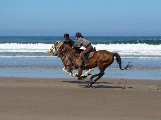Mullacott Equestrian Centre