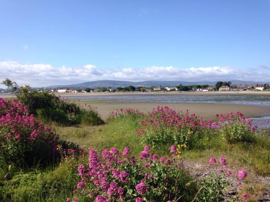 Irishtown Nature Reserve