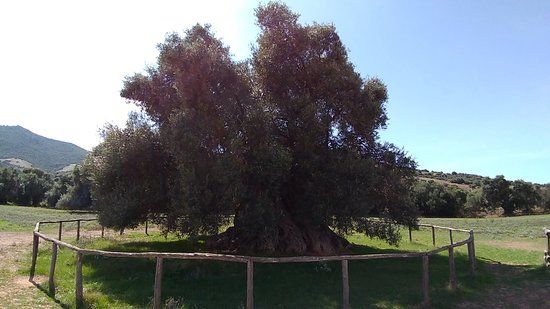 Oasi Naturalistica di S'Ortu Mannu