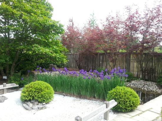 University of Guelph Arboretum